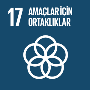 kuresel_amaclar_17_renkli